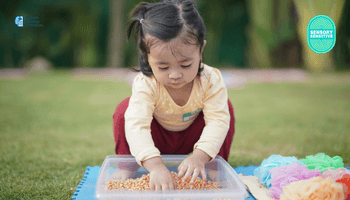 Autism Sensory Processing & Play